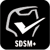 SDSM PLUS