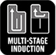 MULTI-STAGE INDUCTION
